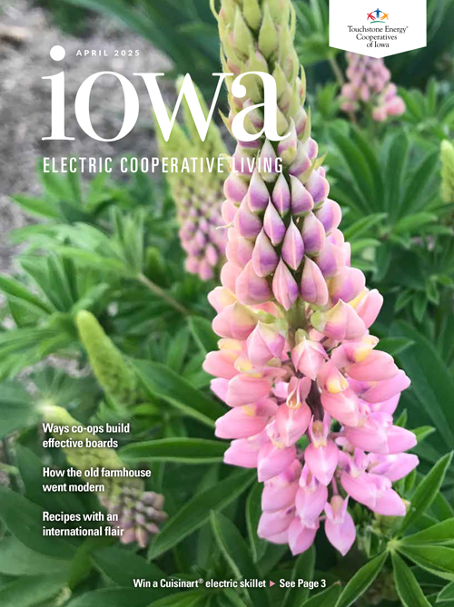 Image link to Iowa Electric Cooperative LIving