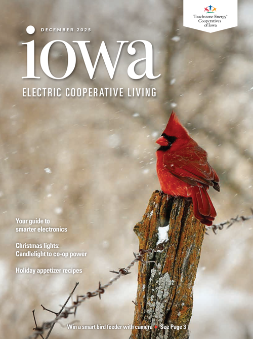Image link to Iowa Electric Cooperative LIving