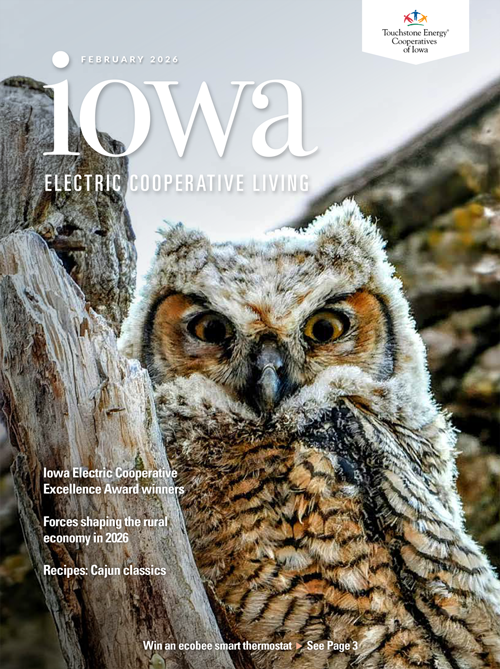 Image link to Iowa Electric Cooperative LIving