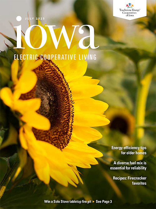 Image link to Iowa Electric Cooperative LIving