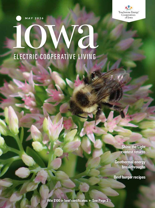 Image link to Iowa Electric Cooperative LIving