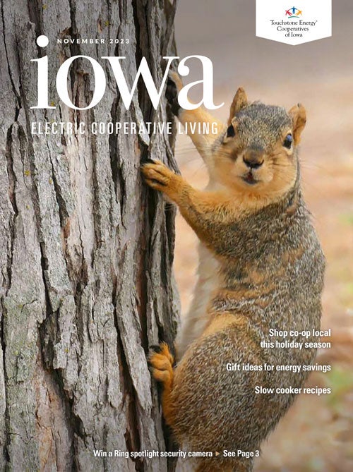 Image link to Iowa Electric Cooperative LIving