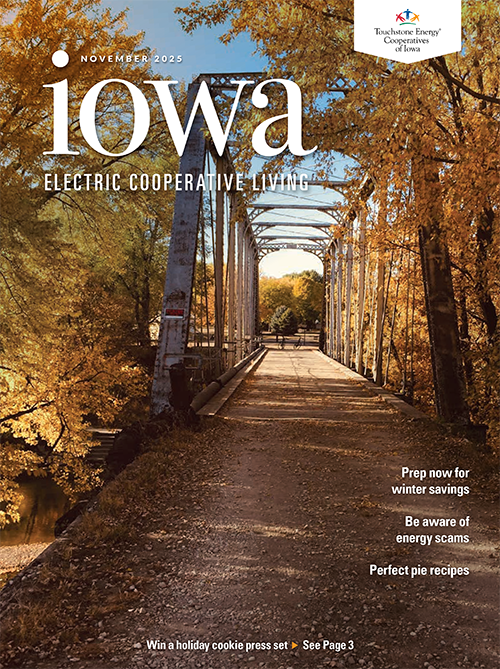 Image link to Iowa Electric Cooperative LIving