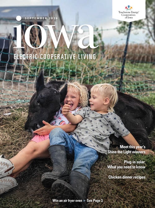 Image link to Iowa Electric Cooperative LIving