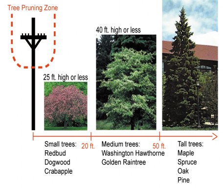 treeplanting